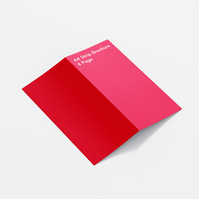 A4 Strip Brochure - 4 Page