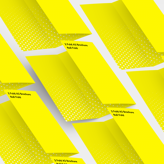 2 Fold A3 Brochure